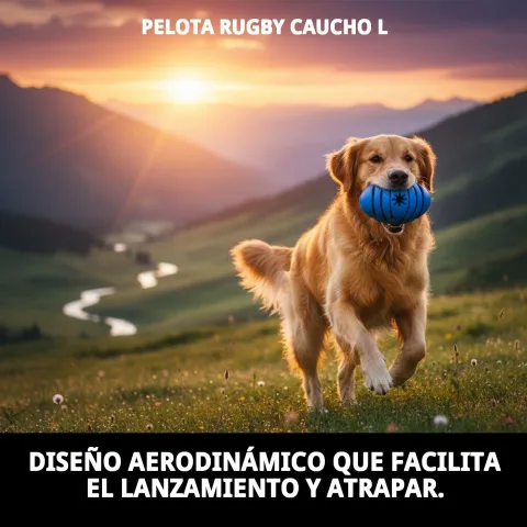 Balle Rugby en Caoutchouc L