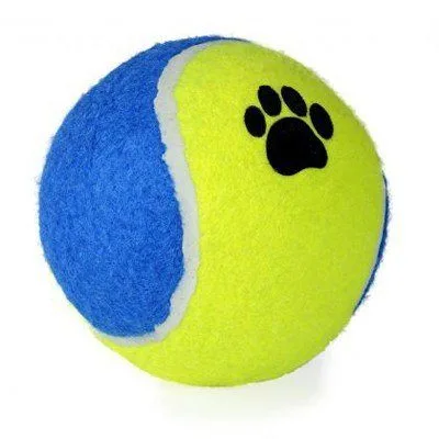 Perro jugando con pelota tenis 10 cm con huellas en exterior