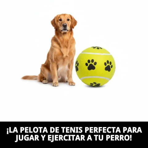 Pelota tenis con huellas sobre césped para perros