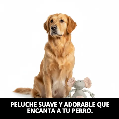 Détail du peluche Dumbito avec son interne