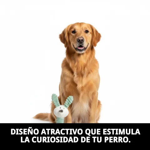 Peluche Rabbit pour chiens prêt pour lavage en machine