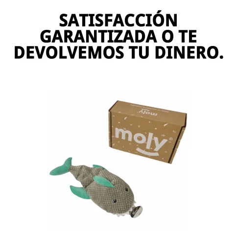 Peluche requin pour chiens montrant la taille adaptée pour mordiller