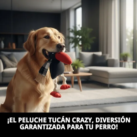 Chien jouant avec peluche Toucan Crazy de 33 cm