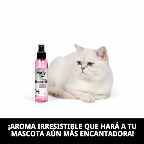 Envase de 125 ml de perfume Fresh Flowers para perros