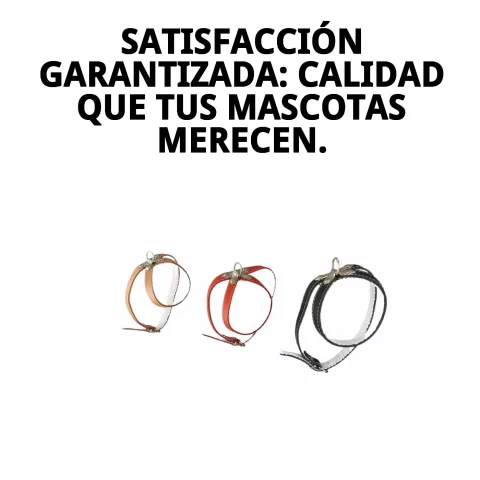 Petral de cuero con fornitura fácil de limpiar y mantener