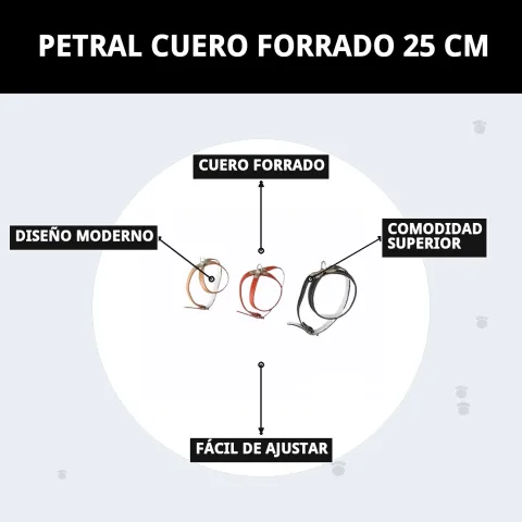 Petral cuero forrado sobre fondo blanco mostrando detalles