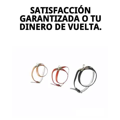 Petral cuero forrado en paseo al aire libre