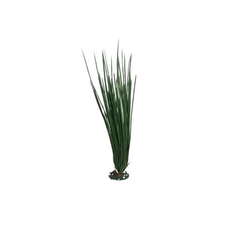 Détail des feuilles de la plante décorative 23 cm