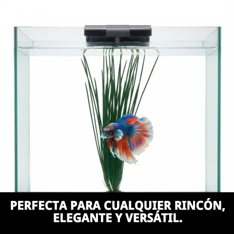 Plante décorative 23 cm sur rebord de fenêtre