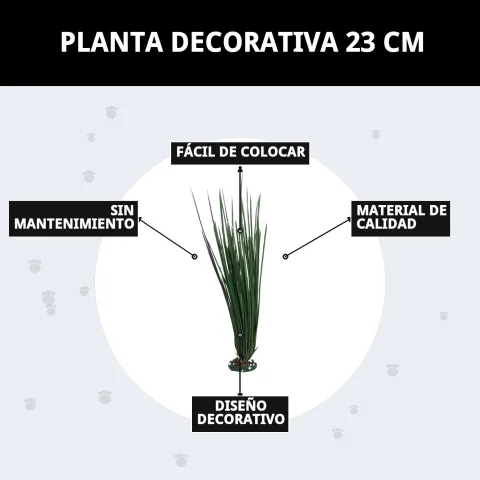 Plante décorative 23 cm dans un intérieur lumineux