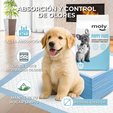 Uso de empapador Puppy Pads en zona de entrenamiento cachorro
