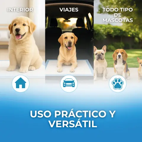 Empapadores Moly Puppy Pads en transportín para perros