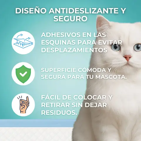 Empapadores desechables para perros con incontinencia Moly