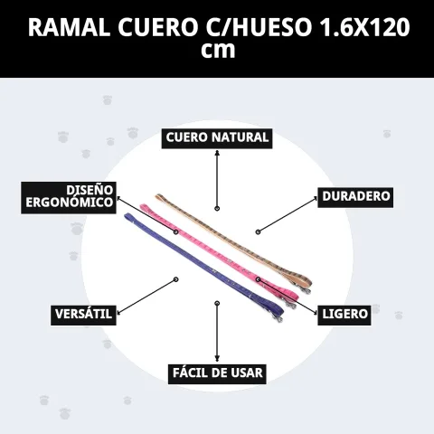 Accesorios de cuero para perros junto al ramal con hueso