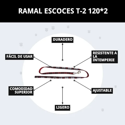 Ramal écossais T-2 en extérieur lors d'une balade