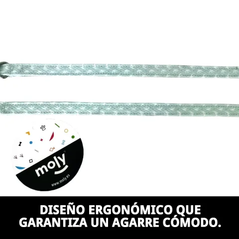 Laisse en nylon robuste pour chien usage quotidien