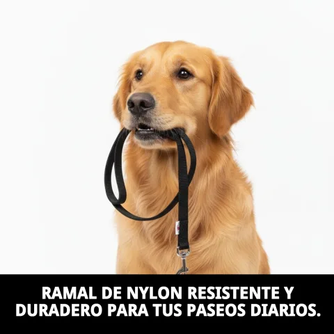 Uso del ramal liso con collar para perro