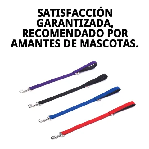 Ramal de nylon combinado con arnés para perros