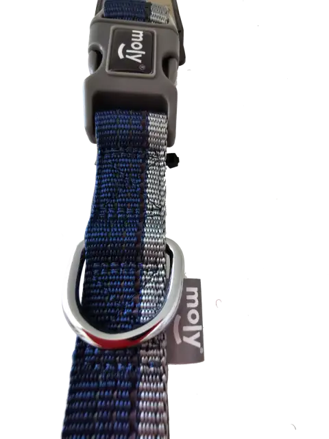 Detalle del nylon reflectivo del ramal Moly Confort para perros