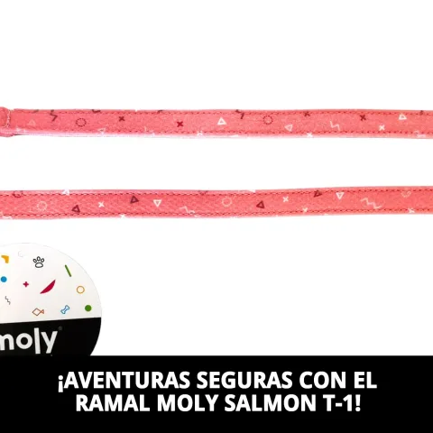 Système d'attache sécurisé ramal Moly Salmon T-1 pour chiens