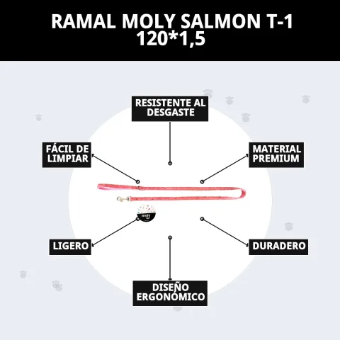 Ramal Moly Salmon T-1 sur fond blanc pour catalogue en ligne