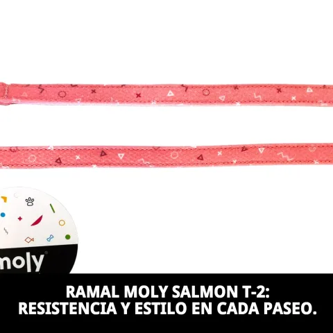 Laisse Moly Salmon T-2 utilisée lors d’une promenade en extérieur