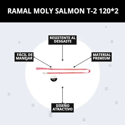 Poignée ergonomique de la laisse Moly Salmon T-2 en gros plan