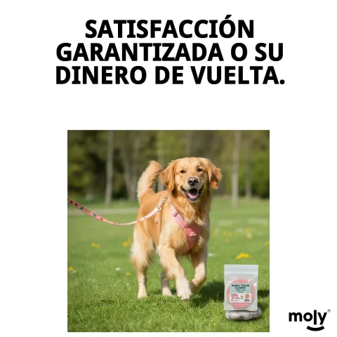 Cierre seguro y resistente del ramal nylon flower