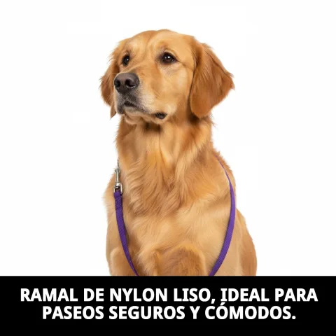 Sistema de acople seguro para collar o arnés