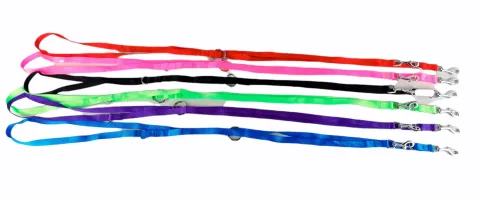 Laisse nylon police avec design ergonomique pour promenade
