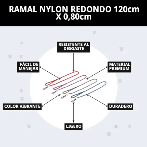 Ramal nylon redondo con perro caminando en parque