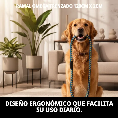 Ramal Omega junto a arnés de nylon para perros