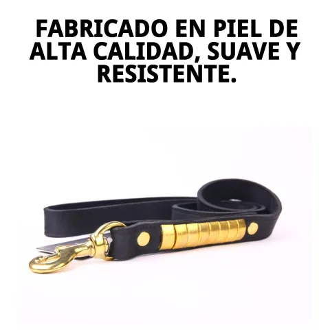Ramal piel luxury con perro tamaño medio en exterior
