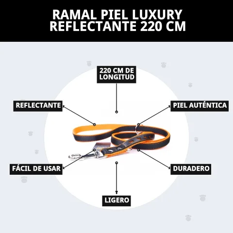 Ramal piel luxury reflectante junto a collar cuero liso naranja
