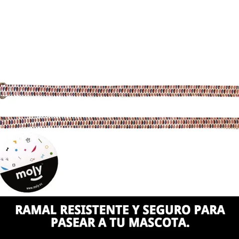 Ramal en nylon résistant pour promenades avec chiens