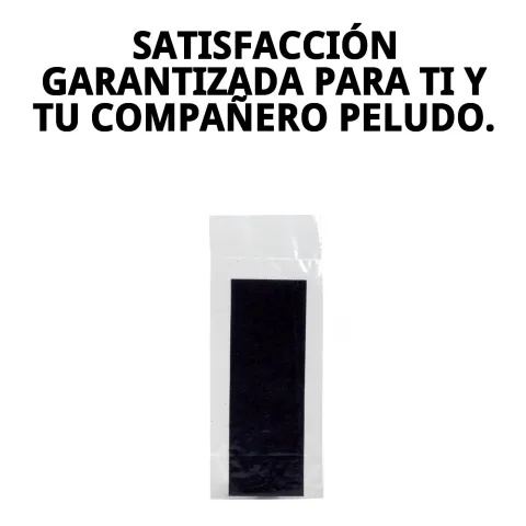 Filtre charbon de rechange en main montrant taille compacte