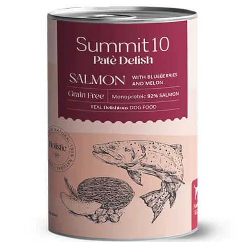 SUMMIT 10 PATÉ DELISH SALMON GRAIN FREE 400 GR | ALIMENTO HÚMEDO MONOPROTEICO PARA PERROS ADULTOS