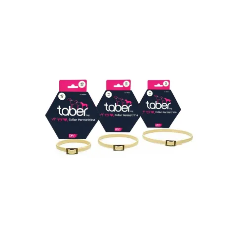 Collar Taberdog resistente al agua para perros activos