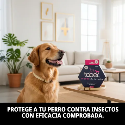 Protección antiparasitaria prolongada con collar Taberdog