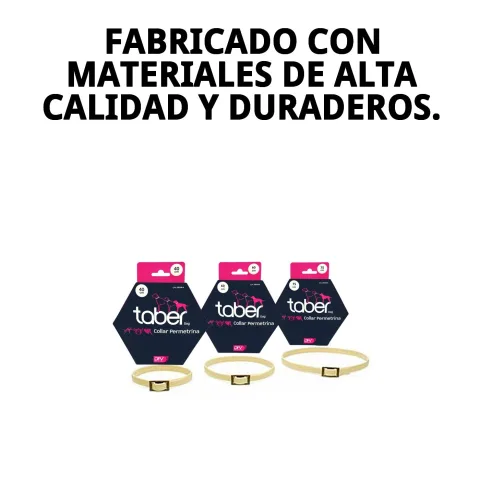 Collar Taberdog colocado en perro de tamaño mediano