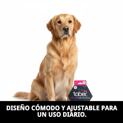 Collar Taberdog ajustable para perros de diferentes tamaños