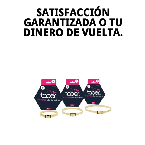Uso seguro del collar antiparasitario en cachorros desde 2 meses