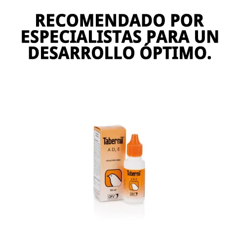 Contenu liquide de vitamines A, D3 et E pour animaux