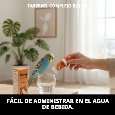 Utilisation pratique du TABERNIL COMPLEJO B20 ML dans l'alimentation des oiseaux