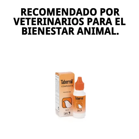 Présentation 20 ml du TABERNIL COMPLEJO B20 ML