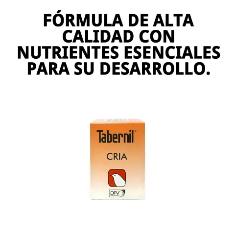 Periquitos alimentados con TABERNIL CRÍA para mejor digestión