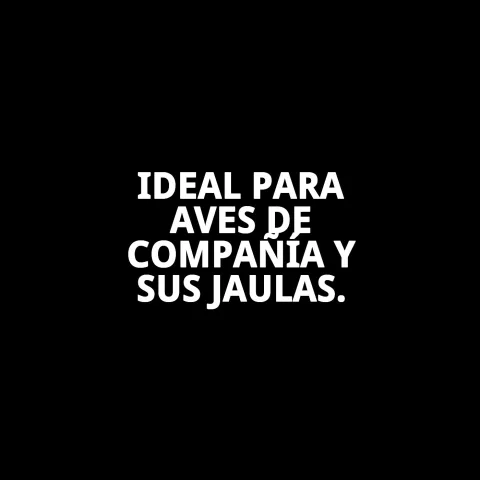Ave con plumaje saludable tras uso de Tabernil Spray