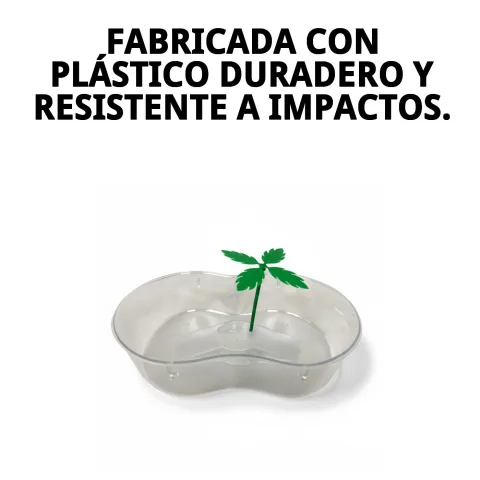 Vue latérale de la tortuguera plastique avec palmiers