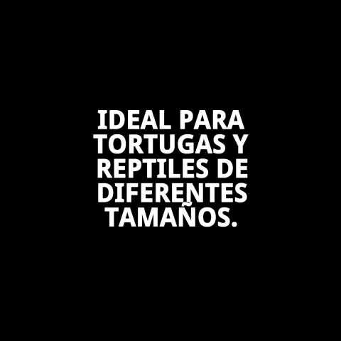 Tortuguera résistante et facile à nettoyer pour tortues
