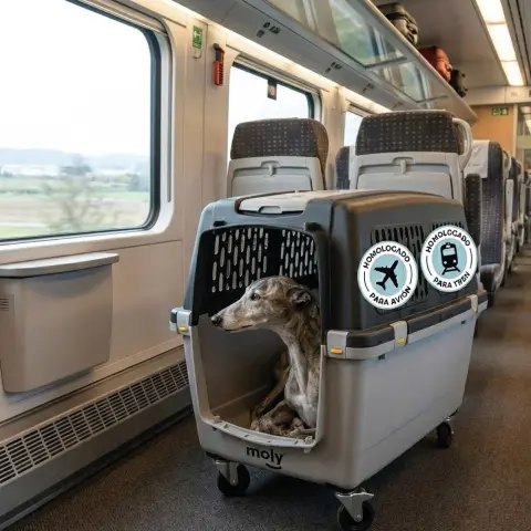 Rejillas de ventilación lateral del transportín para perros grandes